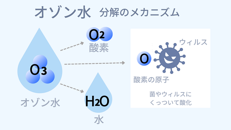 オゾン水洗浄